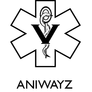 Het-webdesign-bureau-Client-Aniwayzlogo Het-webdesign-bureau-Client-Aniwayzlogo