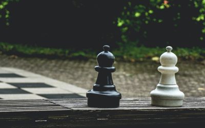Goedkope Websites als strategische investering 5 Online Strategie: Hoe U de Digitale Jungle Overleeft